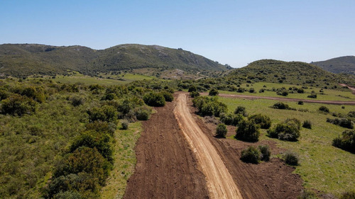 Imagen 12 de 15 de Chacra Campo En Venta, Lavalleja, Aguas Blancas, Fraccionami (ref: Atm-6842)