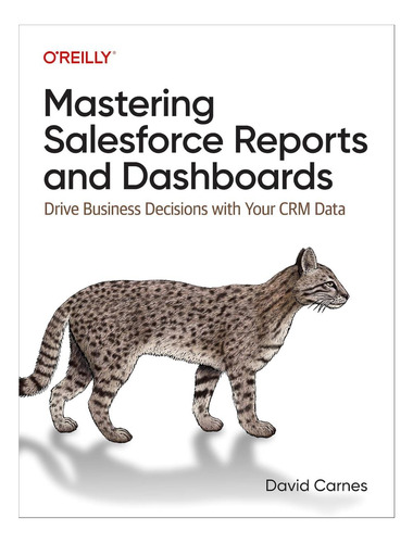 Libro: Dominar Los Informes Y Paneles De Salesforce: Drive