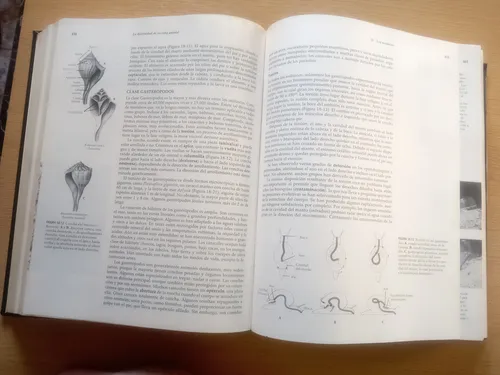 Zoología Principios Integrales, Hickman 9na Edición. Mcgraw (Usado)