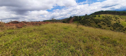 Imagem 9 de 14 de E11- Lotes Com Documentação