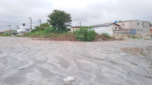 Terreno Para Alugar, 7300 M² Por R$ 70.000,00/mês - Vila Sacadura Cabral - Santo André/sp - Te1009