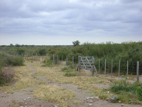 Imagen 29 de 30 de Quilino,campo Ganadero, 2700 Has