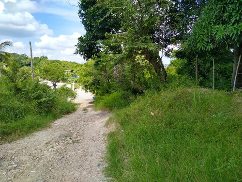 Venta Terreno 773 M² Col. El Naranjal Tuxpan Veracruz