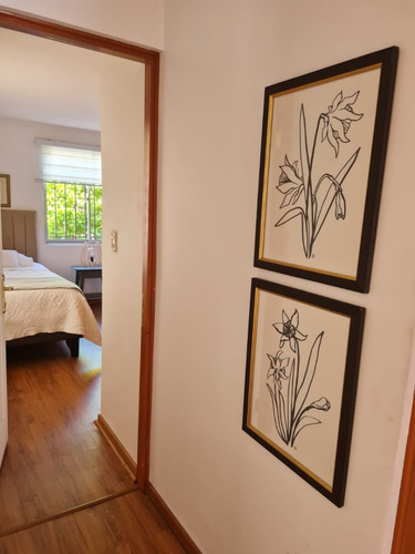 ¡tu Nuevo Hogar Te Está Esperando En El Corazón De Talca