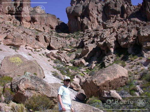 Campo En Venta De 635 Has Bariloche, Costa Del Pichileufu, Rio Negro.