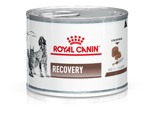 Royal Canin Recovery 195 Gr 12 U Veterinaria Mr Dog