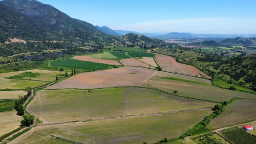 Codegua, Chimbarongo, Predio De 54,49 Has Ideal Par Cerezas