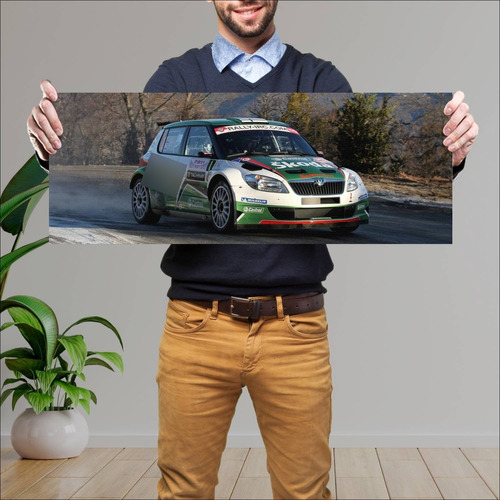 Cuadro 30x80cm Auto 2011 Skoda Fabia S2000 Auto 145