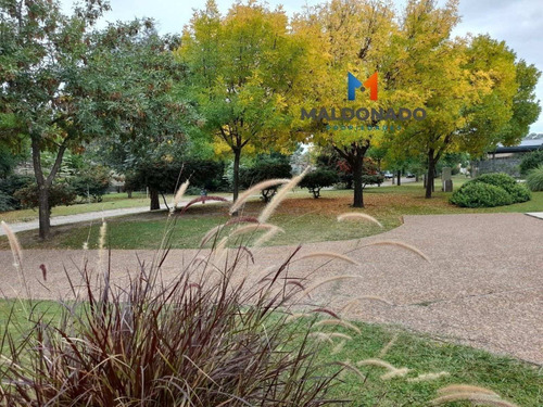 Imagen 4 de 12 de Venta Lotes En Chacras De La Villa