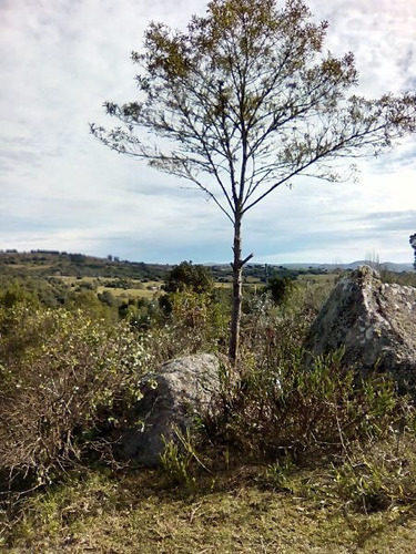 Venta De Chacra 1 Dormitorio, Paraje La Coronilla, Maldonado
