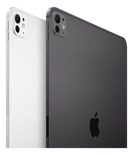 Apple iPad Pro 13 Chip M4 Wifi 256 Gb Gris Espacial