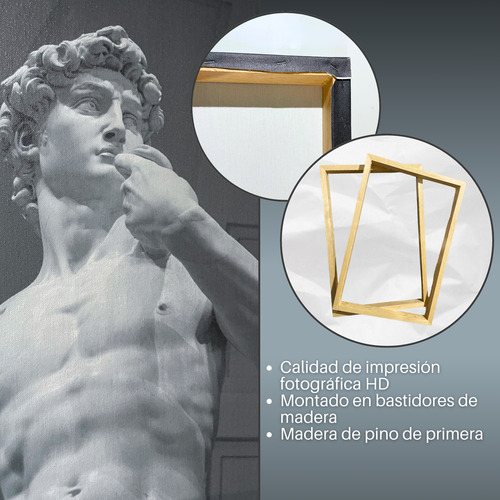 Cuadro Decorativo Set 3 La Joven De La Perla Do Epic Shit