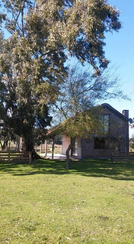 Cabañas A 2.5km De Termas Guaviyú