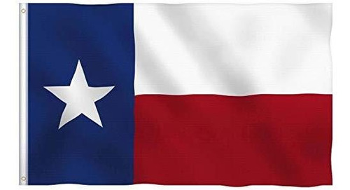 Bandera Region Bandera Del Estado De Texas Con Ojales De Lat