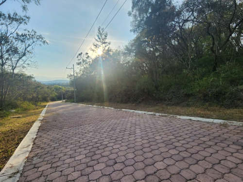 Venta Lote Gladiola 34 Cerca De Acceso Con Vistas Panorámicas Y Todos Los Servicios Inlcuyendo Proyecto En Fracc Rancho San Diego Ixtapan De La Sal Edomex