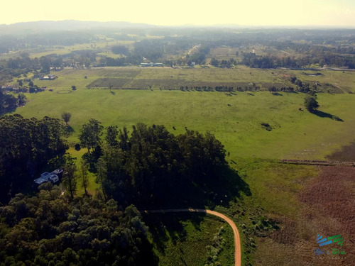Venta De Terreno De 10.000 M2 En Las Silvias, Punta Ballena