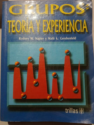 Grupos Teoría Y Experiencia Rodney W. Napier