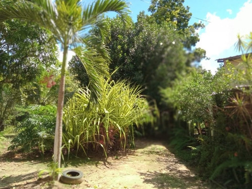 Imagem 12 de 20 de Casa Em Borralho, Camaragibe/pe De 100m² 3 Quartos À Venda Por R$ 360.000,00 - Ca1041562