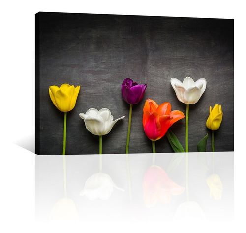 Cuadro Decorativo Naturaleza Flores Canvas Tulipanes Negro