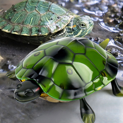 Gtr Juguete De Tortuga Con Control Remoto Rc Turtle For