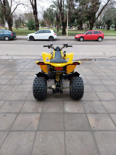 Imagen 5 de 16 de Cuatriciclo Can-am Ds 250