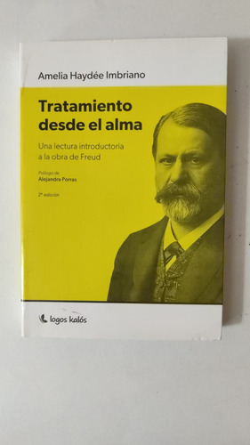Tratamiento Desde El Alma-amelia Haydee Imbriano--(u) (Usado)