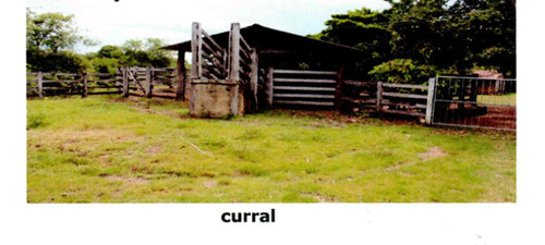 Venda De Fazenda Com Estrutura Completa Potencial Produtivo