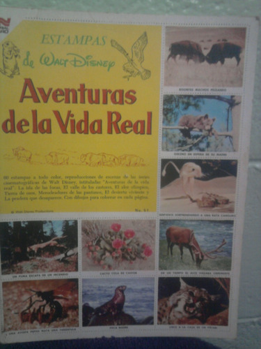 Libro De Oro De Estampas Aventuras De Vida Real  Novaro 1982