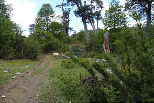 Se Vende Parcela :comuna Pucon - Sector Curarrehue