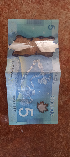 Billete De 5 Dólares Canadienses 2013