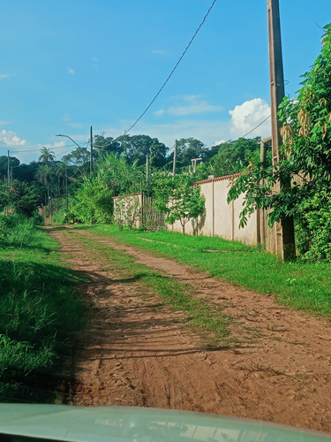 Dois Lotes Planos De 1000 Metros Cada.