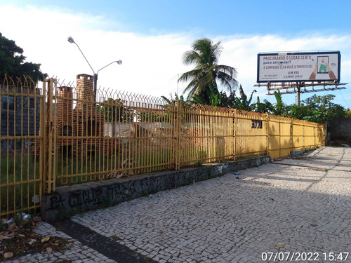 Imagem 13 de 14 de Terreno Para Alugar Na Cidade De Fortaleza-ce - L14152