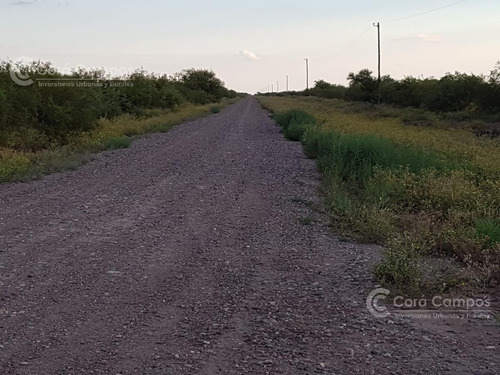 Se Vende Campo Ganadero En Mendoza, Rio Diamante. San Rafael.
