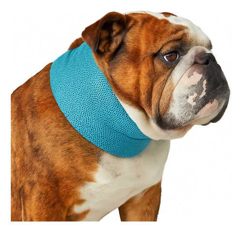 Bandana Collar Refrescante Para Perro Talla Ch, M Y G Azul Petróleo Azul Con Puntito Azul L