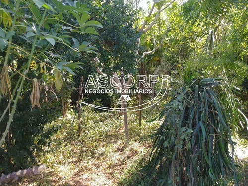 Imagem 7 de 30 de Chacara No Gran Park Residencial - Ch00066 - 71061359
