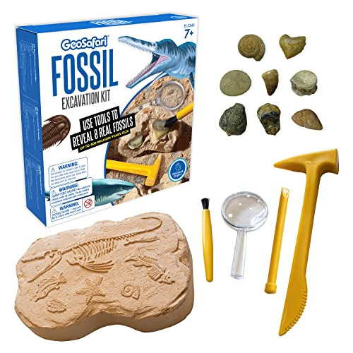 Kit De Excavación De Fósiles Geosafari, Kit De Cienci...