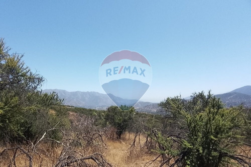 Oasis La Campana Parcela Rebajada