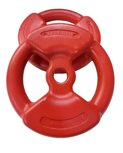 Trai gym discos clearance