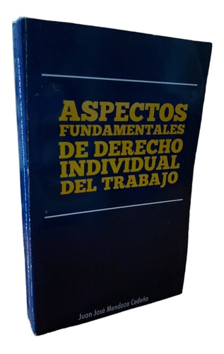 Aspectos Fundamentales Del Derecho Individual Del Trabajo