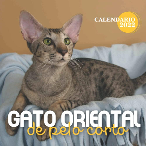 Libro: Gato Oriental De Pelo Corto Calendario 2022: Calendar