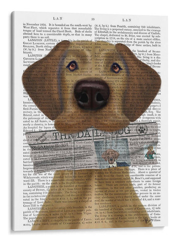 Canvas Lab Cuadro Great Dane Periódico 30x40, Fab Funky