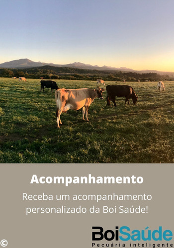Total Corte Premium Núcleo Vitamínico Para Gado De Corte 5kg