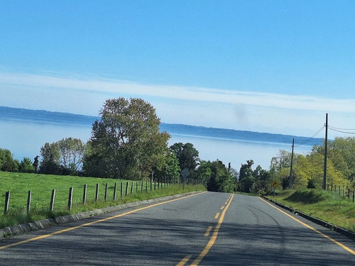 Lago Ranco Camino A Rio Bueno Vendo 5000 Mts2 Sector Cuinco