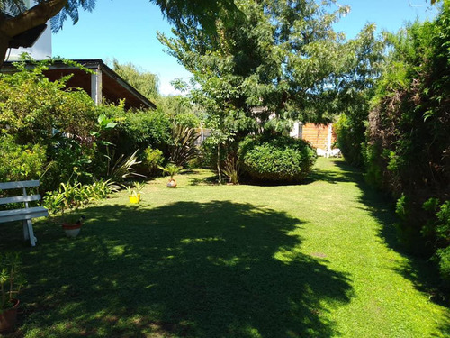 Imagen 9 de 29 de Quinta Venta 1 Pileta 1 Baño 40mts2 - Villa Parque Sicardi