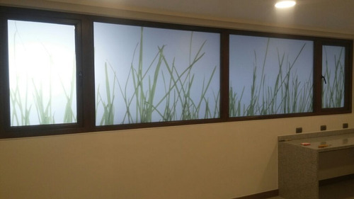 Imagen 5 de 9 de Vinilo Arenado Estampado Premium Para Vidrios 120*100 Cm