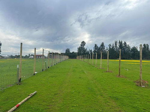 Terrenos 5.000mts2 Rol Propio Limache Sector Los Laureles