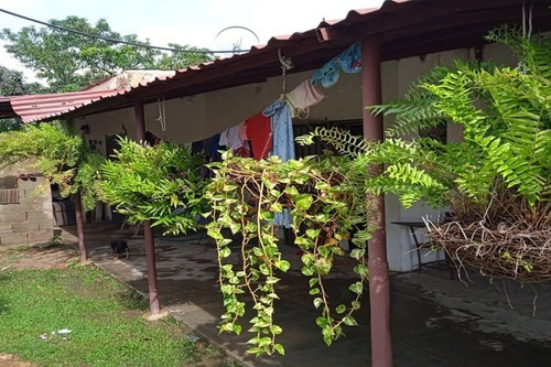 Imagen 3 de 14 de Zch Asein P1447 Vende Mini-finca En El Sector El Encanto En Tocuyito.municipio Libertador. Estado Carabobo