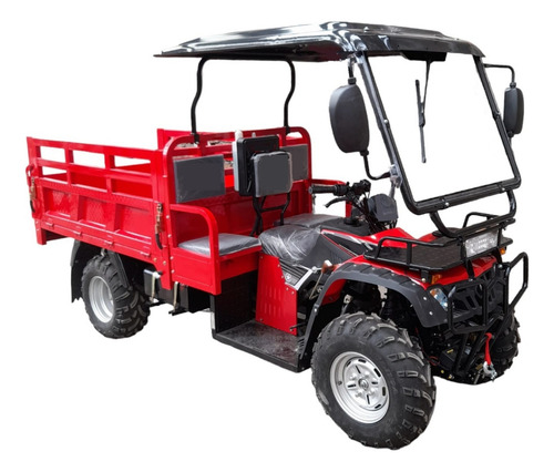 Cuatrimoto De Carga 4×4 / Cuatrimoto Agrícola 4×4