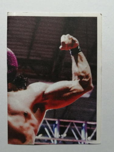 Estampa Panini Lucha Libre Worldwide Aaa 25 Aniversario #052 (Usado)