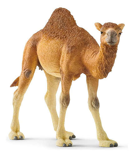 Schleich Wild Life - Figura De Juguete Dromedario De Camell.